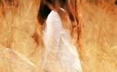 蝴蝶传媒视频无限观看三次